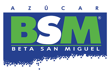 bsm